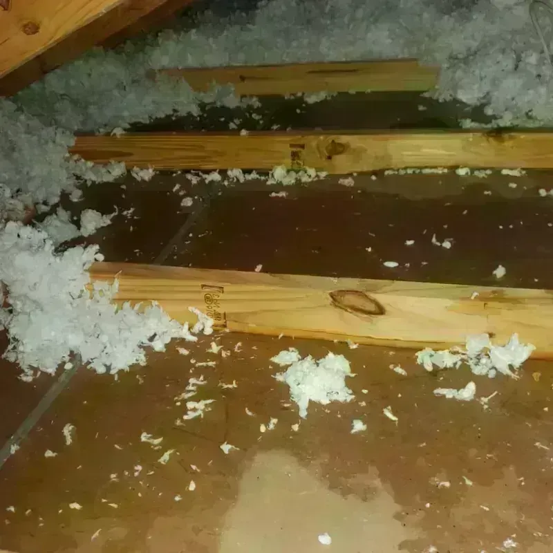 Attic Water Damage in Enon, VA